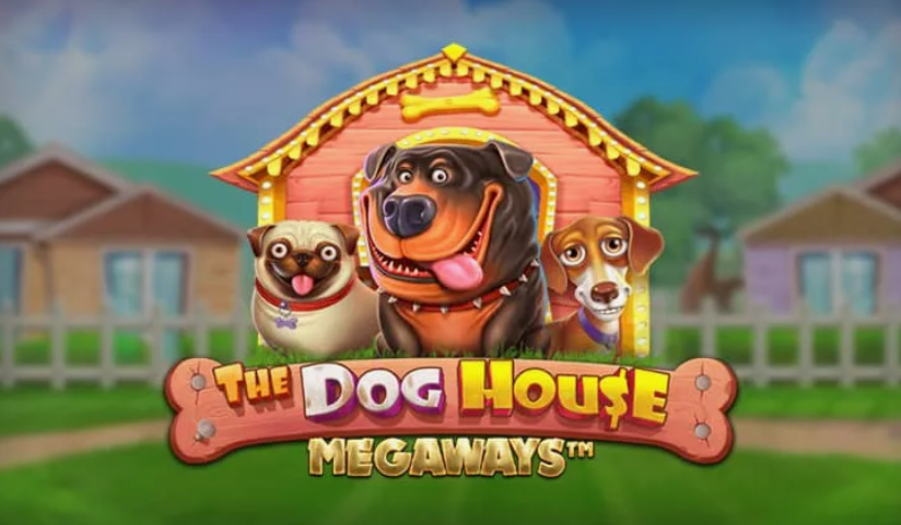 Dog House Megaways RTP and Volatility